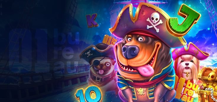 Slider Banner